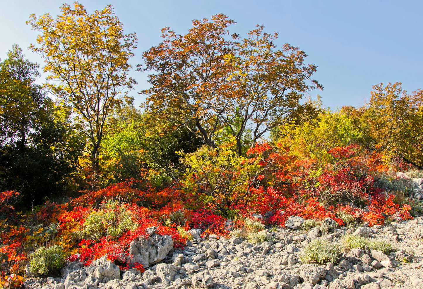 AL_18 Tombstone Karst